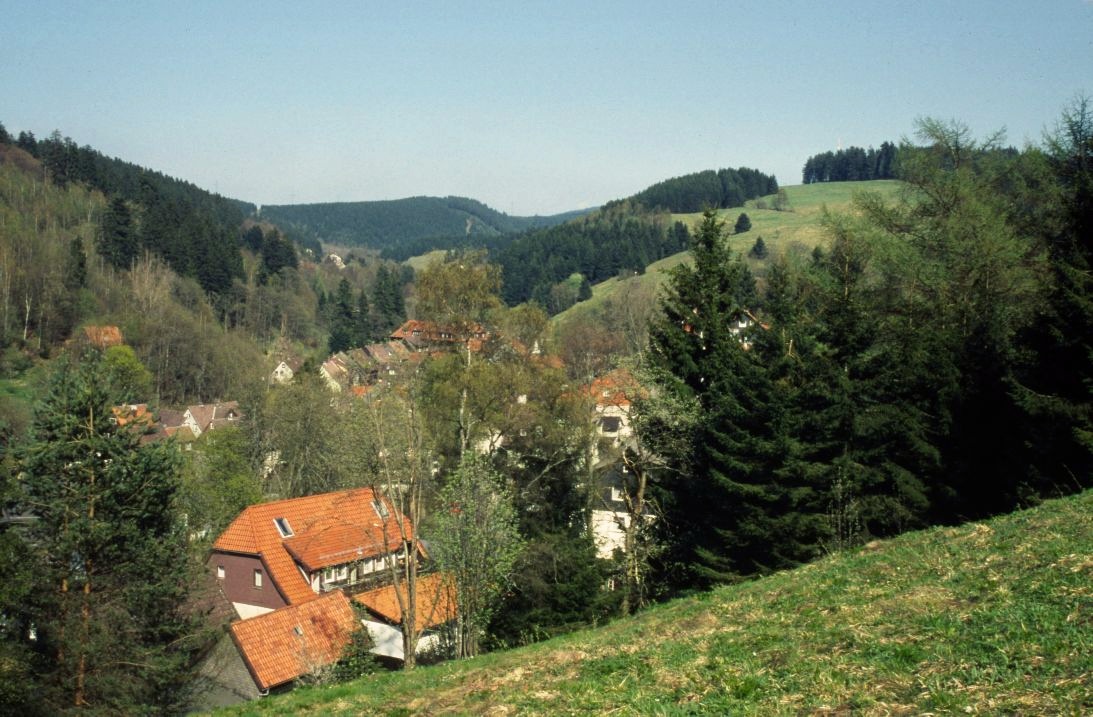 Bergwiese bei Altenau