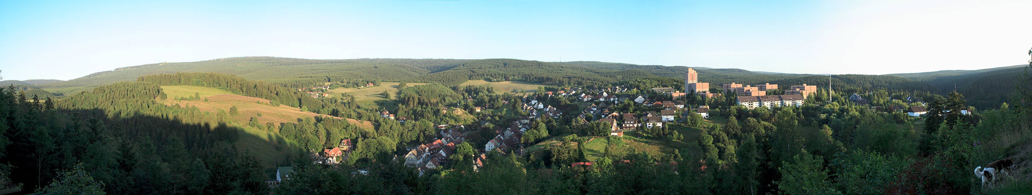 Panoramabild Altenau und Berge im Sommer