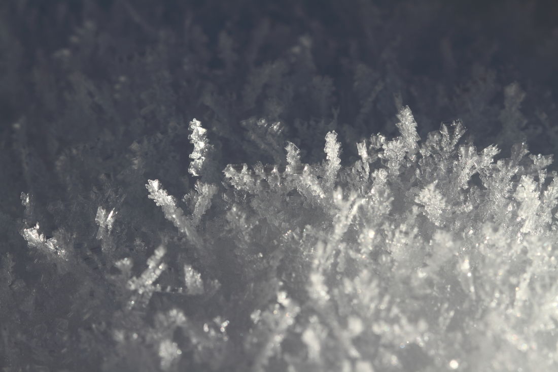 Die besten Naturphotos: Eiskristalle