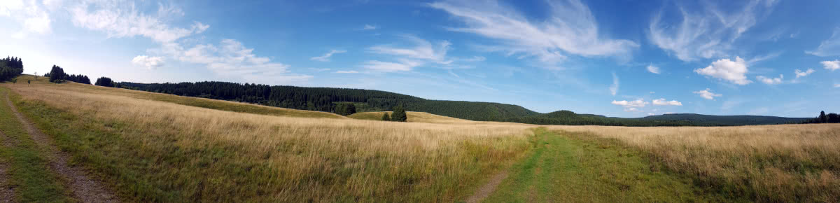 Panorama vom Mühlenberg, Altenau