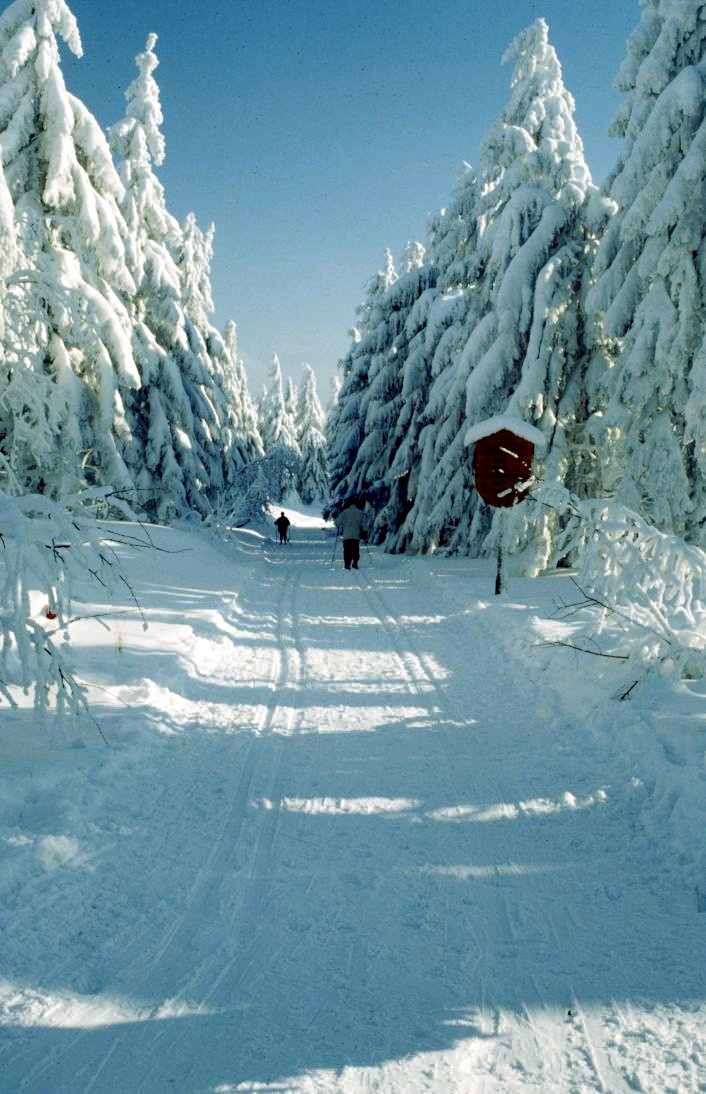 Wintereinbruch an der Stieglitzecke - Winterurlaub im Harz